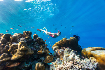 Fototapeta na wymiar Woman snorkeling