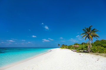 Fototapeta na wymiar Beautiful tropical beach in Maldives
