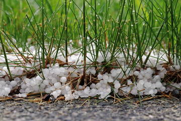 Unwetter im Frühling und Sommer. Hagelkörner auf dem Boden