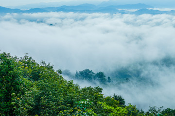 slow floating fog blowing cover on the top of mountain look like as a sea of mist. In the morning the cold weather is make floating fog on the mountain as a sea of mist