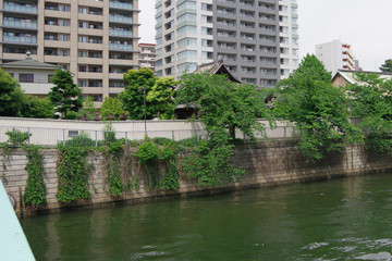 ビルと古びた寺