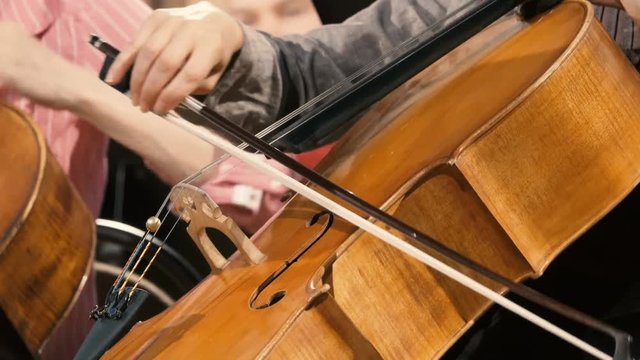 Cellist plays the cello in the orchestra