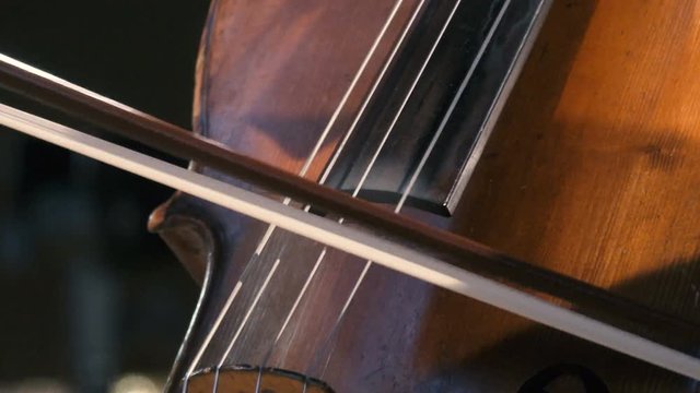 Cellist plays with the bow on the cello. Closeup shot 