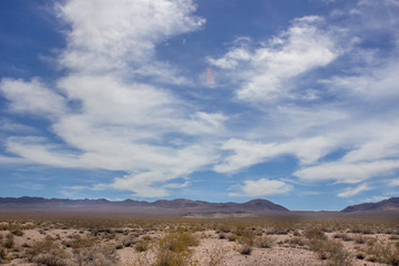 Fototapeta na wymiar Desert Landscape with Cactus