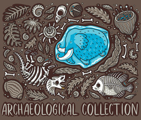 Ancient fossils, bones, leaves and skeletones set. Vector illustration