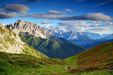 Wildflower meadow in Alpi Carniche main ridge with sharp Crode dei Longerin peak, fluffy clouds and Piave valley in blue mist in background, Veneto and Friuli Venezia Giulia Northern Italy Europe