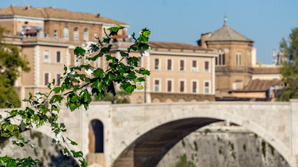 Fototapeta na wymiar Bridge over the River Tiber, Rome, Italy