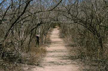 Sendero