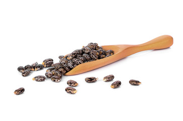 Castor oil seeds (Ricinus Communis) isolated on white background