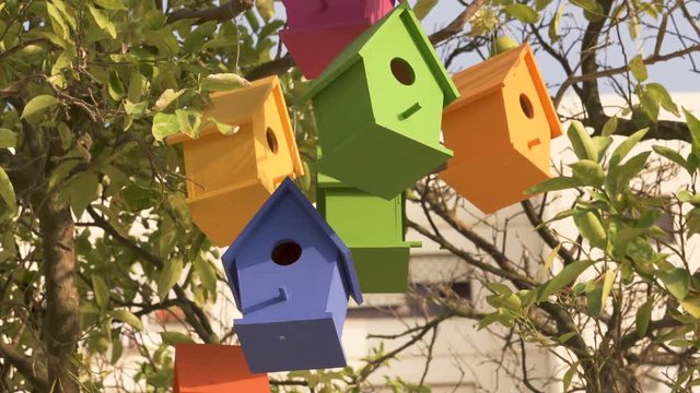 Colorful Wooden Bird Houses On the tree. Illustrate housing problem
