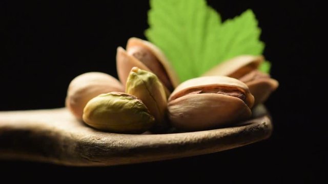 Pistacia vera Pistacchi Pistazie Pistachio Pistacchio Pistacja فستق właściwa Řeč&iacute;k pist&aacute;ciov&yacute; Pistaches Alf&oacute;ncigo Фисташка video настоящая 