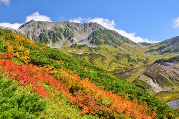 Tateyama / Japan   ~   Autumn