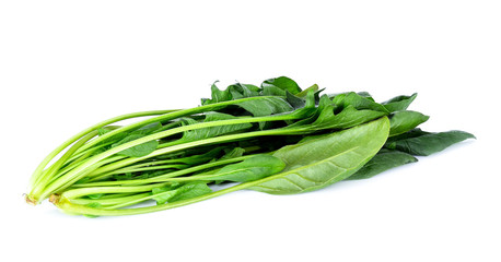 Spinach on white background