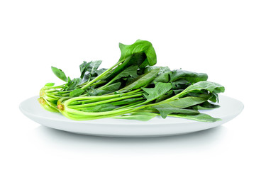 Spinach in white plate on white background