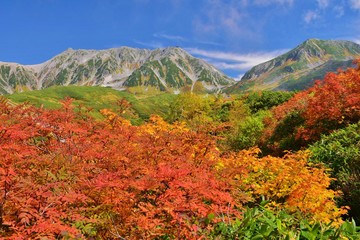 Tateyama / Japan   ~   Autumn