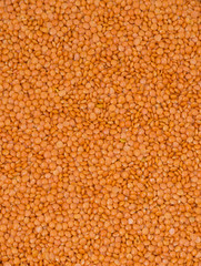 Red Lentils Also Know as Lentilha Vermelha, Red Dal, Red Split Lentils, Lens Culinaris, Red Lentil Legume or Masoor