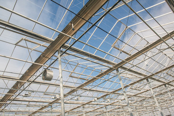 Fototapeta premium glass roof with fan in modern greenhouse