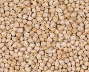 Group of White Chick Pea or Kabuli Chana