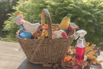Cleaning agents for cleaning the rooms on the table in a basket with dry maple leaves in backlight light on a green background.