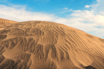 Desert, sand dune, sand texture