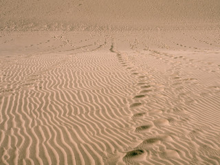 Desert, sand texture, background