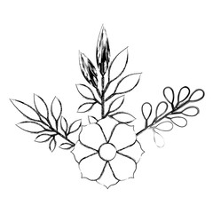 flowers and leafs decoratives vector illustration design