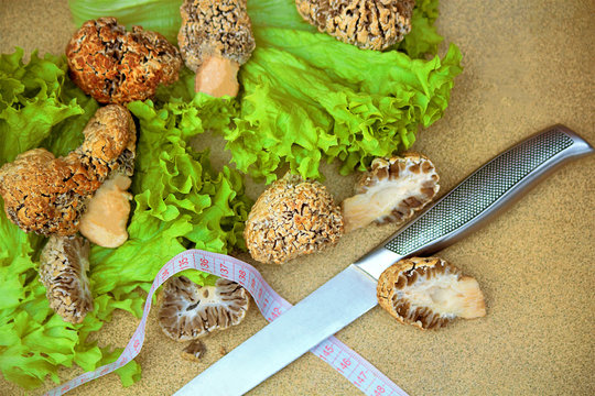 verpa bohemica, morel, bohemian, pier, mushrooms, early, edible, spring, natural, background, forest, macro, green, nature, cap, wild, food, thimble, brown, biology, cooking, shriveled gourmet big, pl