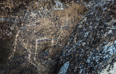 Ancient prehistoric drawings of various animals on the rock. The remains of ancient civilizations