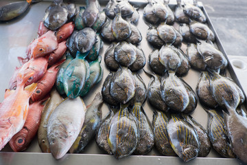 Fresh fish for sale at Apia Seafood Market in Samoa, South Pacific