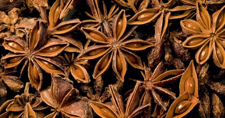 Roration of Anise Star herb food, 4k Dci resolution