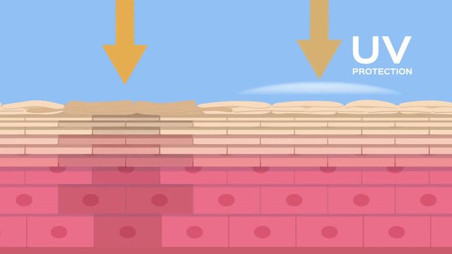 uv protection graphic animation , ultraviolet