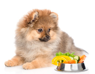 Spitz puppy with a bowl of vegetables. isolated on white background