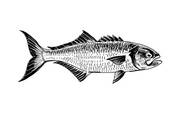 Ink black and white drawing of a fish
