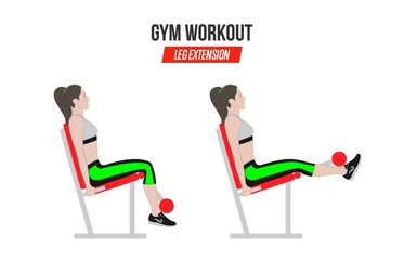 Leg extension. Leg extension in the simulator. Sport exercises. Exercises in a gym. Illustration of an active lifestyle. Vector
