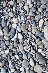 abstract background with dry round reeble stones