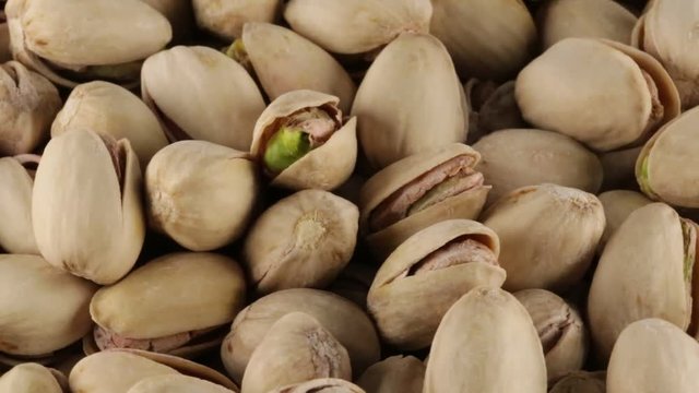 Pistacchi