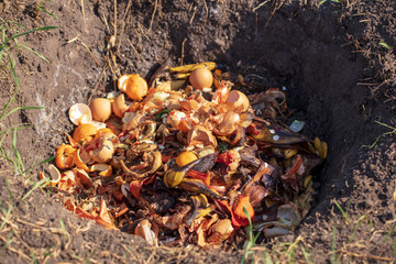 Garbage food waste in a ground pit in nature