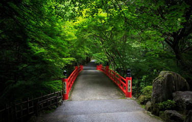 Bright red bridge under green summer foliage at Imakumano Temple in Kyoto, Japan