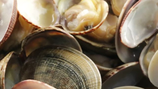 Vongole Veraci Cotte