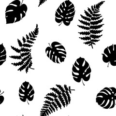 Vector illustration of fern and monstera
