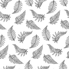 Vector pattern illustration of fern leaf