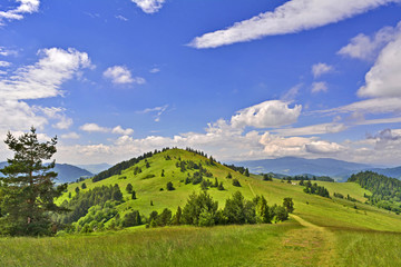 Obraz premium Summer landscape in Pieniny mountains, near to Szczawnica, Poland