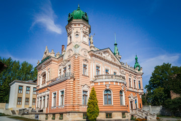 Obraz premium Lviv National Museum. Dunikovsky palace in Lviv , Ukraine