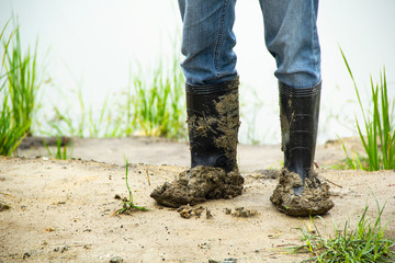 Boots soiled filled with soil densely. Because walk on wet soil. is one of hurdles to work of farmers in the rainy season.
