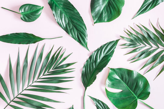 Summer tropical composition. Green tropical palm leaves on pastel pink background. Summer concept. Flat lay, top view