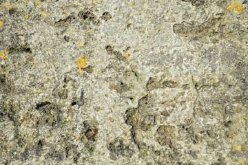 Eroded Marine Rocks Texture