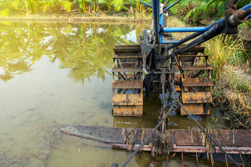 Fototapeta premium View of the farmer user in Old style Machine for lowing field or Walking tractor in field full of mud and water.