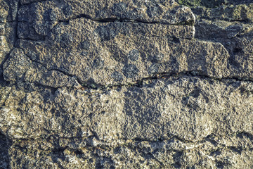 Eroded Marine Rocks Texture