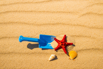 toys on sunny beach