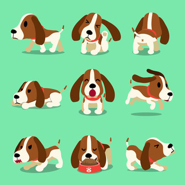 Vector cartoon character hound dog poses